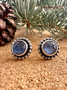 Blue Kyanite Stud Earrings