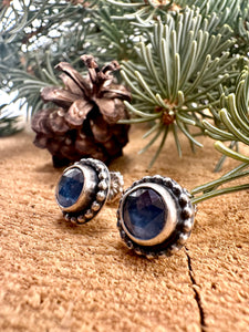 Blue Kyanite Stud Earrings